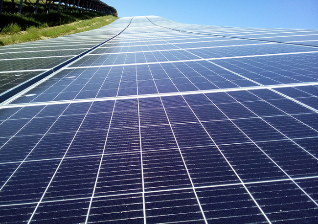 Foto Iberdrola obtiene luz verde ambiental para el desarrollo del proyecto fotovoltaico de Peralta.